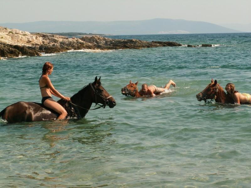 Beach House Ive With Jacuzzi, Pool, Playground And Bbq In An Olive Grove With A Beach, Pomer - Istria Exteriér fotografie